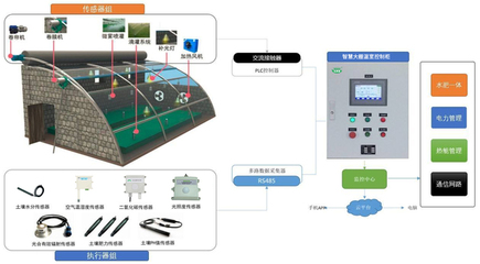 智慧大棚 自動化技術如何賦能鄉村振興
